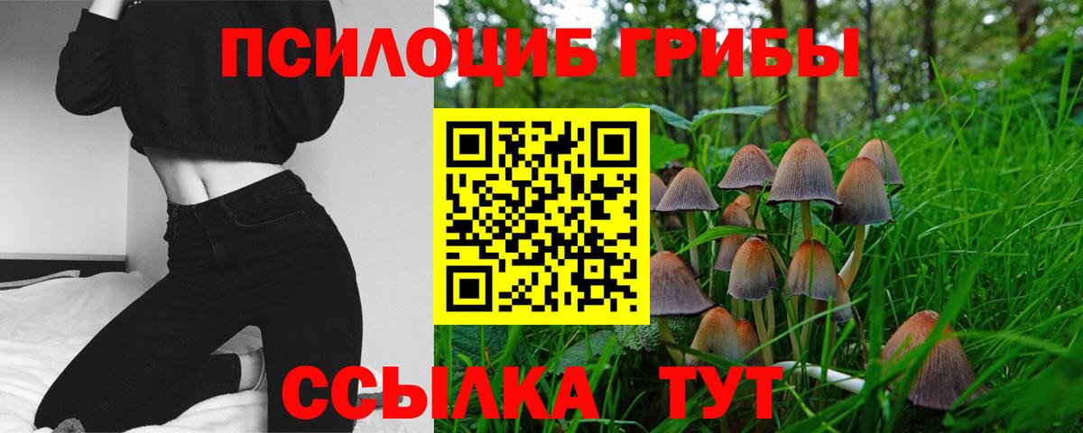 Галлюциногенные грибы GOLDEN TEACHER  купить   Бугуруслан  Вход с VPN 